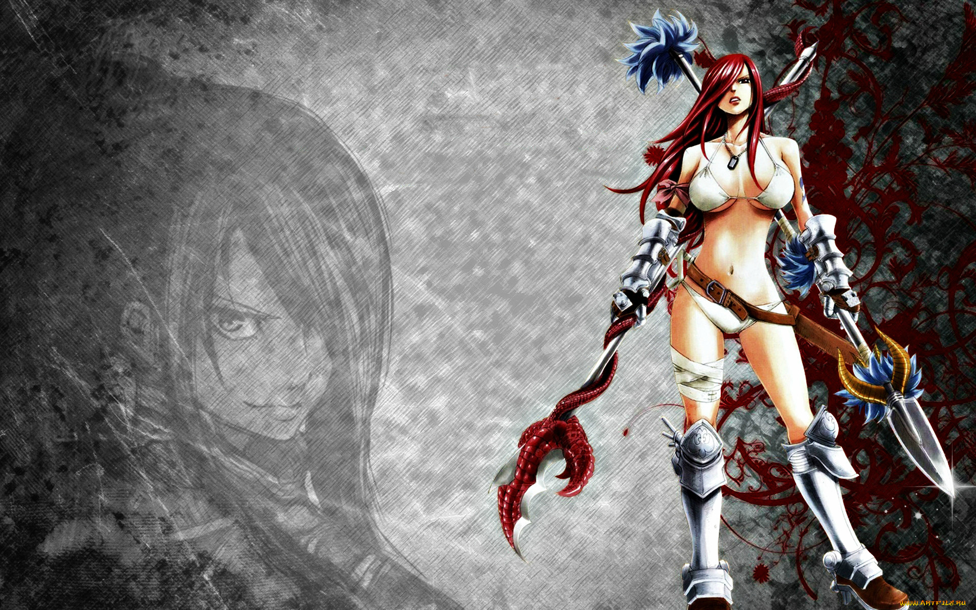 , fairy tail, 
